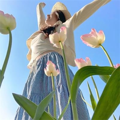 史提芬京之红玫凶宅